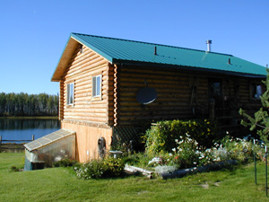 A log cabin in front of a lake surrounded by flowers